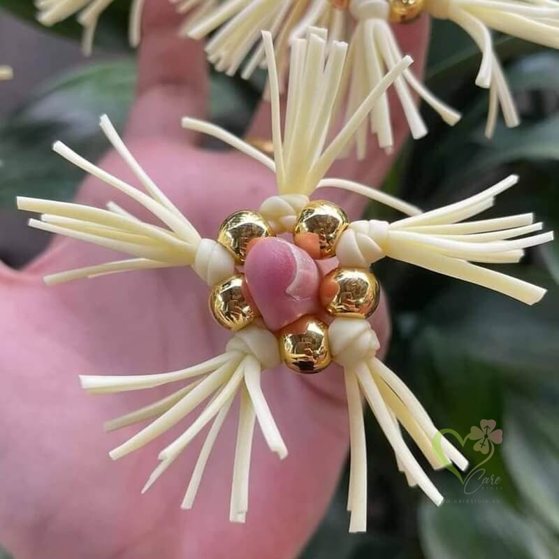 Vòng Râu Rồng Silicon Đeo Dương Vật Có Bi Cao Cấp Cho Nam